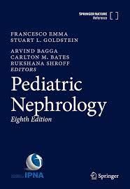Risk factors for childhood chronic kidney disease: a population-based study