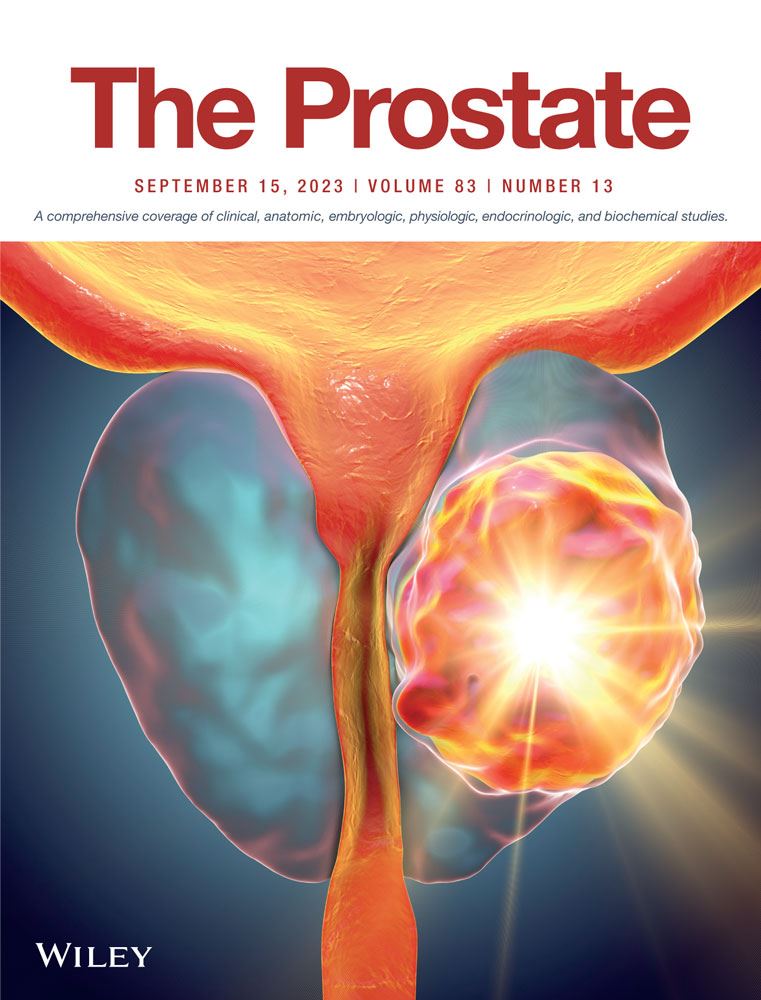 Evaluation of the optimal strategy in men with a single unilateral suspicious lesion on MRI undergoing transperineal MRI/ultrasound fusion prostate biopsy